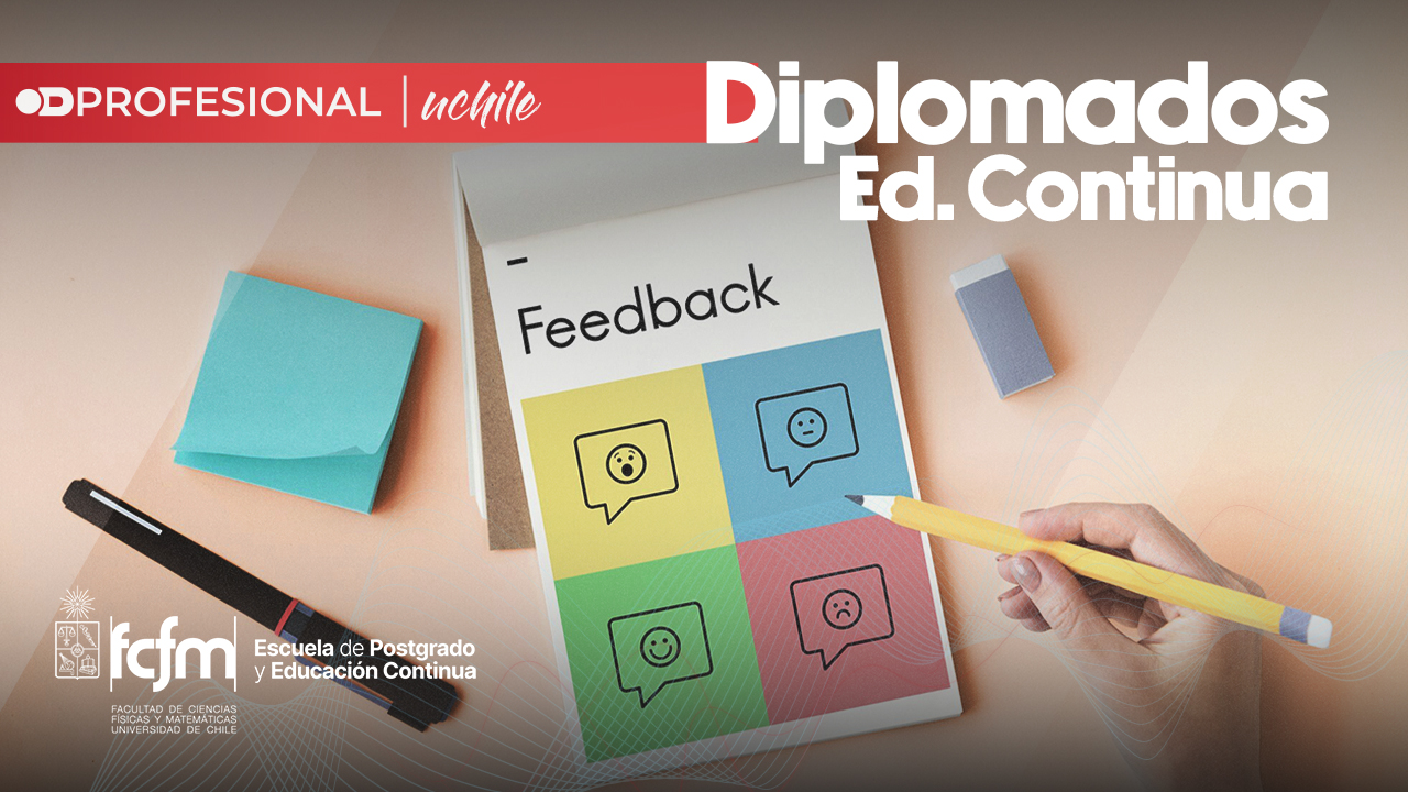 Diplomados Funcionarios - 2025